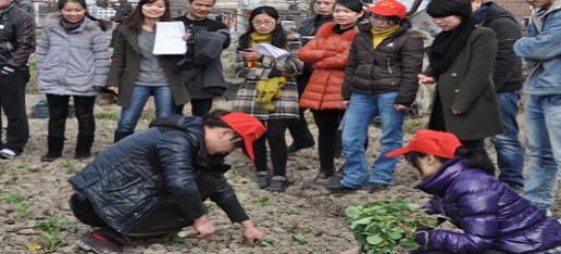 台州市博爱医院_种菜竞技比赛现场