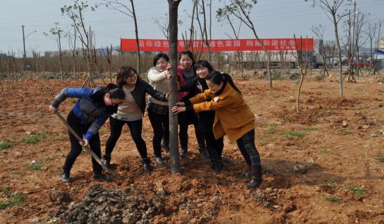 台州市博爱医院妇女代表们 “齐心协力”植树现场