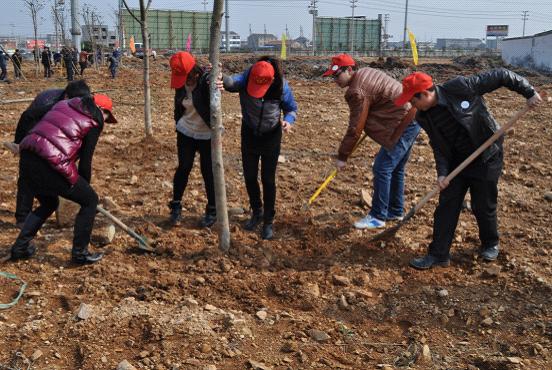 台州市博爱医院青年志愿者们“干劲十足”植树现场