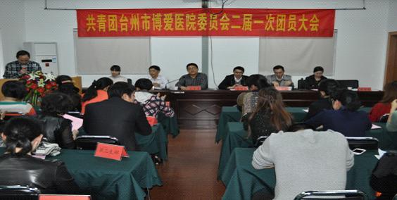 台州市博爱医院审议团委工作报告