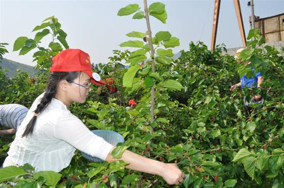 台州市博爱医院|院团委组织庆祝“五四”青年节系列活动