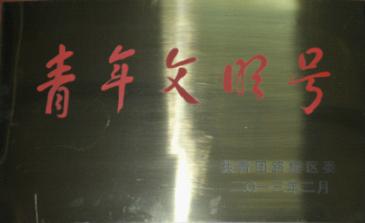 台州市博爱医院精神文明建设喜获双荣|路桥博爱医院