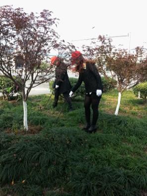 积极响应“多城同创” 开展环保志愿服务|台州市博爱医院|路桥博爱医院