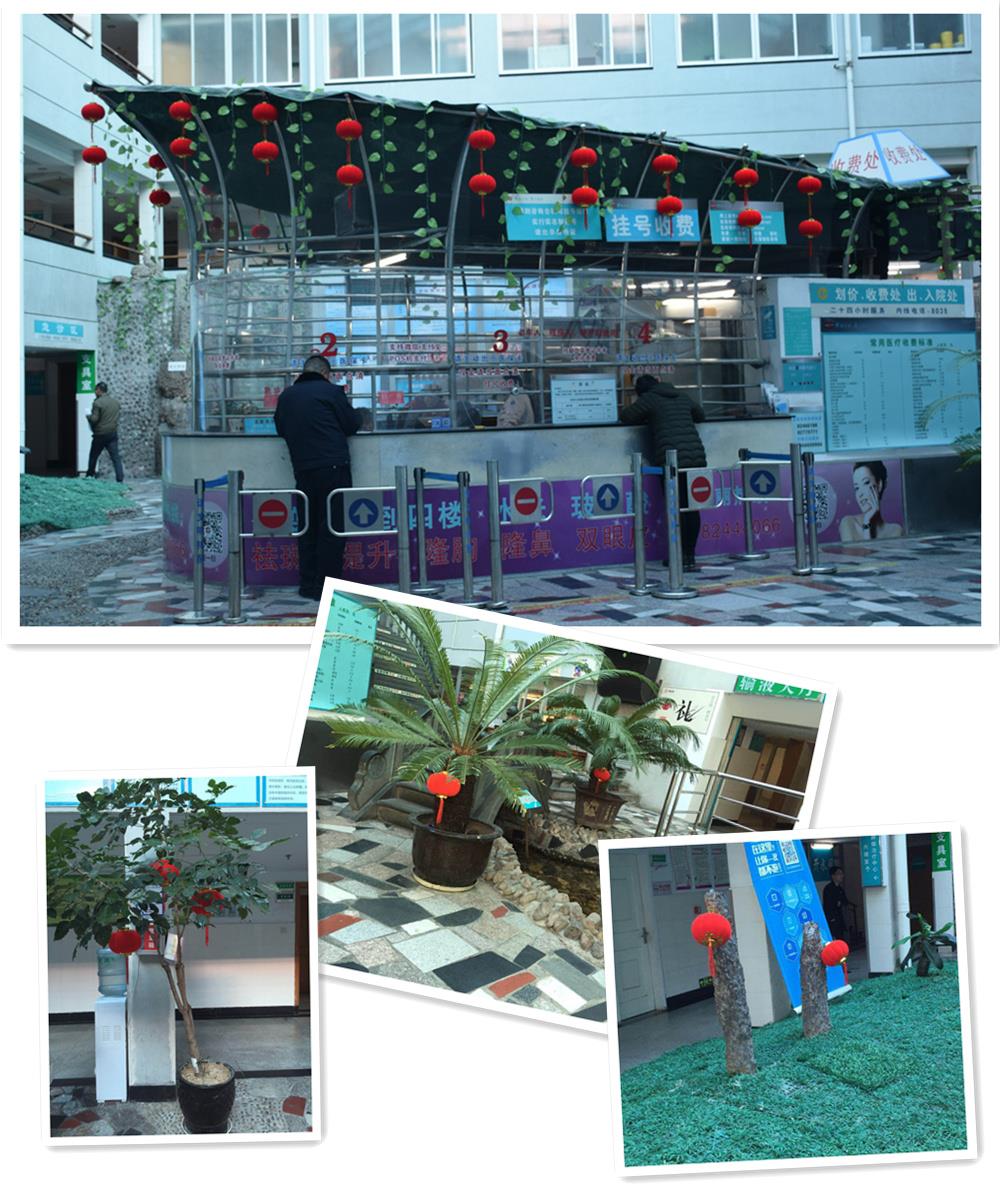 扮靓院区迎新春|台州市博爱医院
