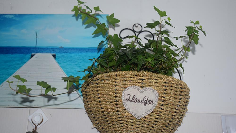 绚丽护士节活动之二——健康·真诚·沟通·精进|台州市博爱医院