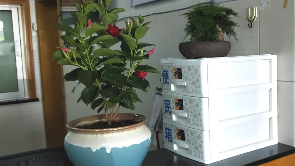 绚丽护士节活动之二——健康·真诚·沟通·精进|台州市博爱医院