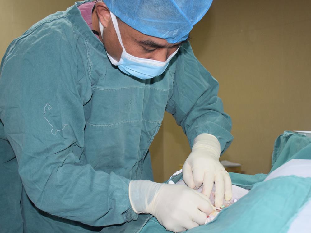 路桥区第三批名医工作室领衔人出炉：台州市博爱医院王军会通过评审