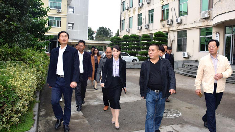 不错！不错！副厅长不停夸赞路桥社会福利中心医养结合做得好|台州市博爱医院