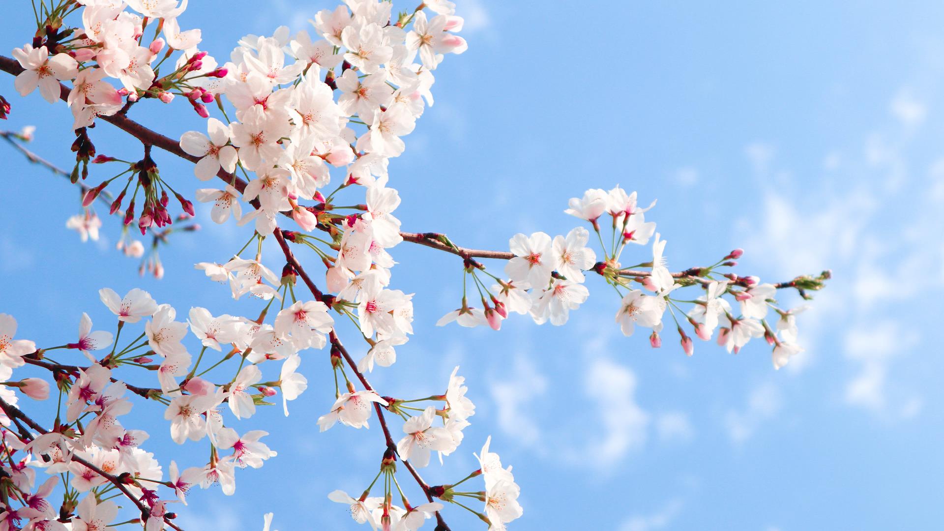 护士节慰问，感恩有你|台州市博爱医院