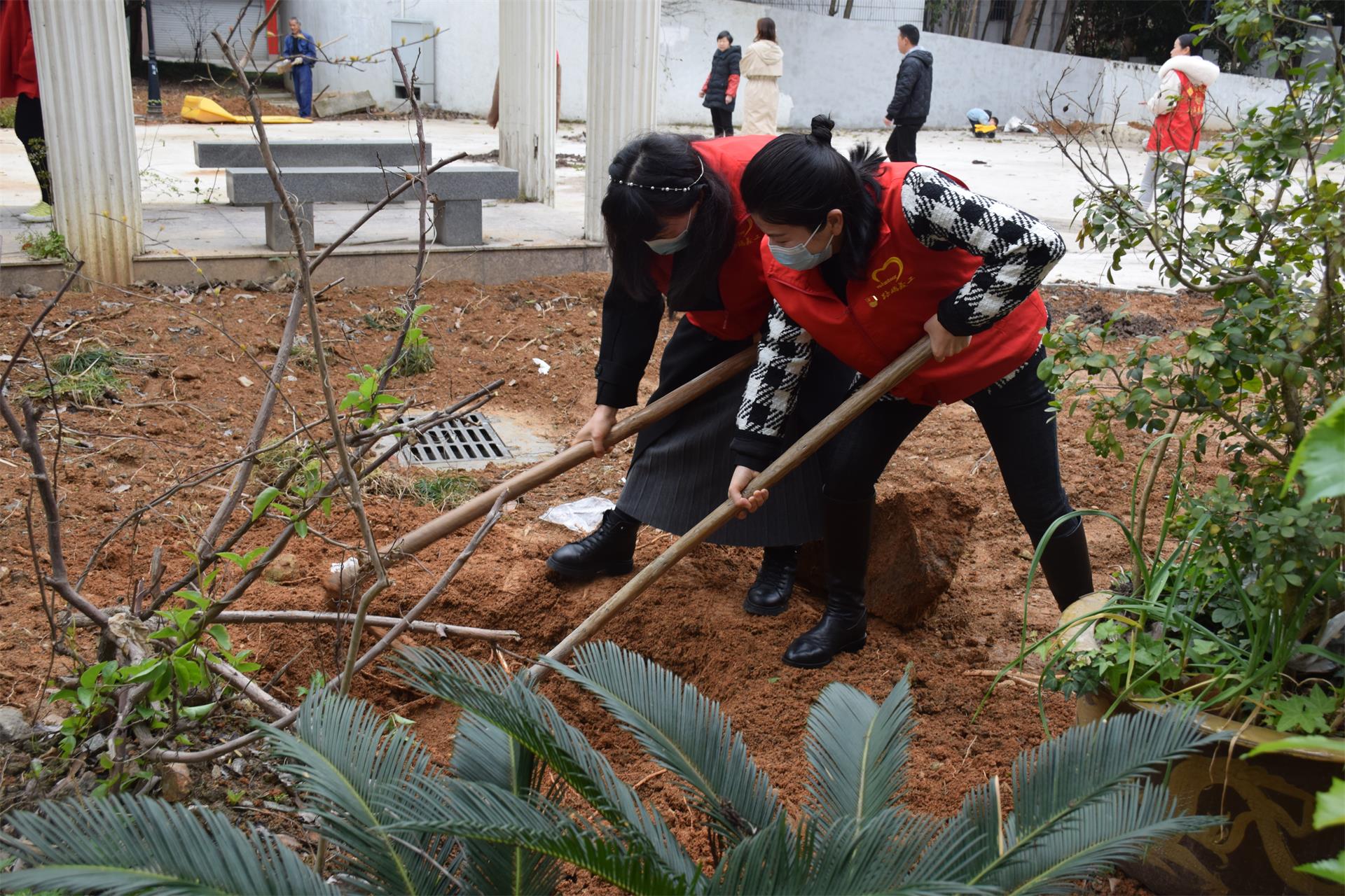 植树节｜“认养”绿地，共植希望|台州博爱医院医共体党委