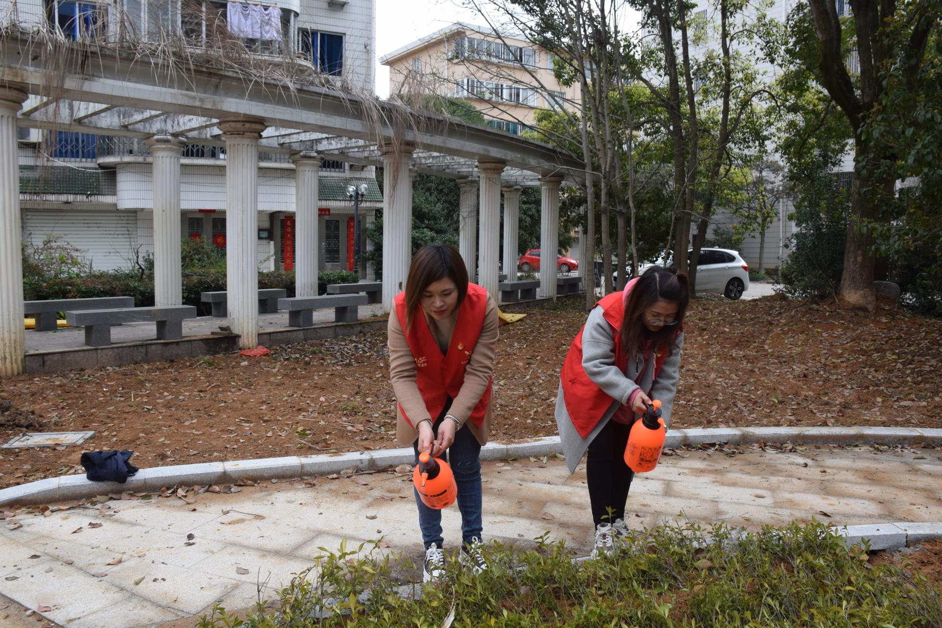 植树节｜“认养”绿地，共植希望|台州博爱医院医共体党委