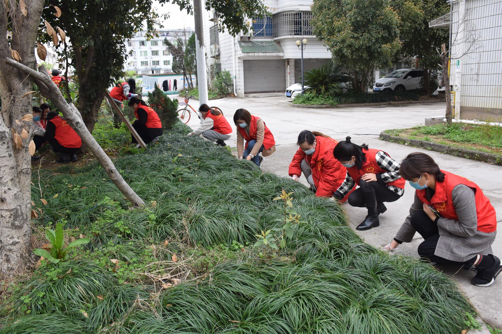 植树节｜“认养”绿地，共植希望|台州博爱医院医共体党委