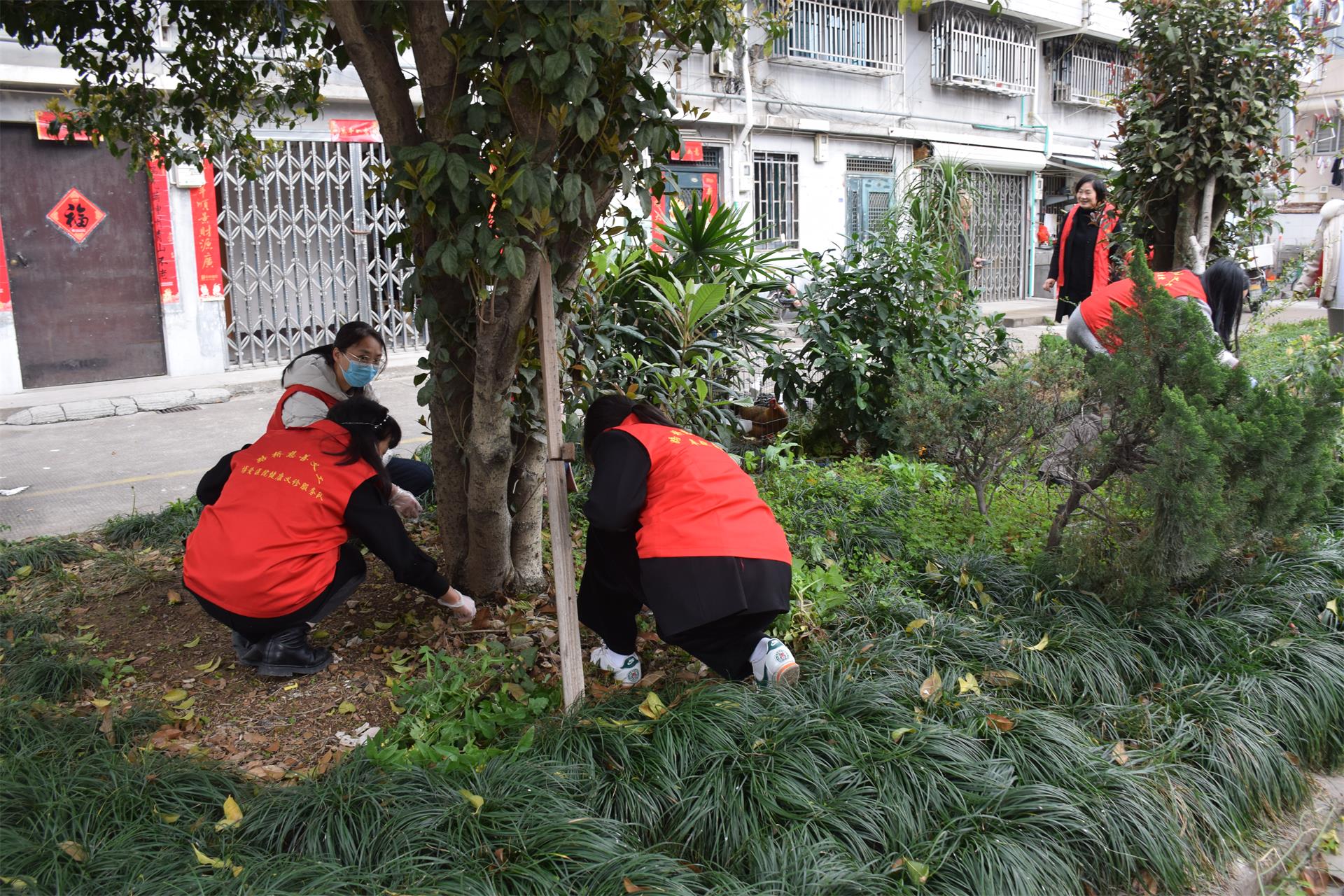 植树节｜“认养”绿地，共植希望|台州博爱医院医共体党委