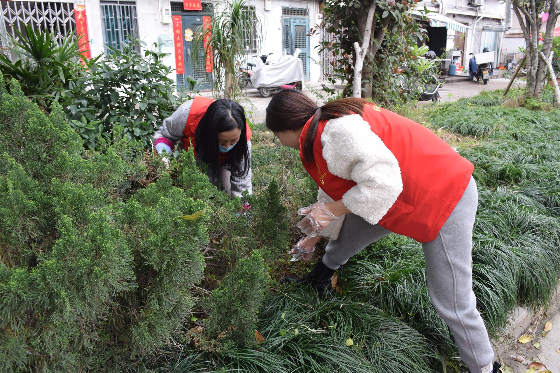 植树节｜“认养”绿地，共植希望|台州博爱医院医共体党委