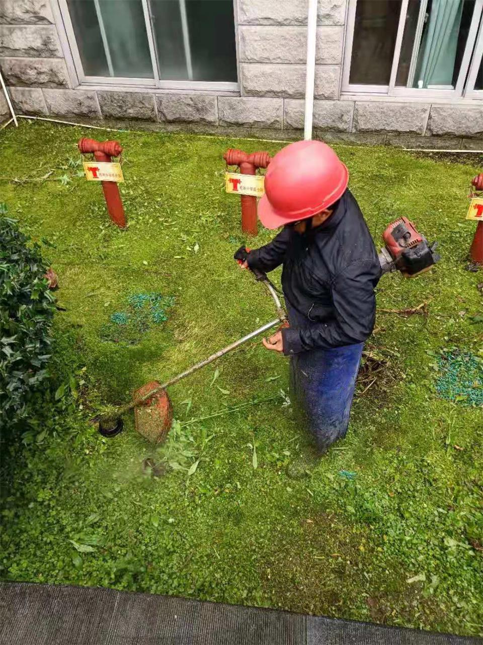 爱国卫生月，让我们一起行动吧！|台州博爱医院医共体