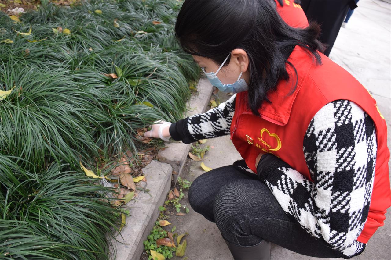 爱国卫生月，让我们一起行动吧！|台州博爱医院医共体