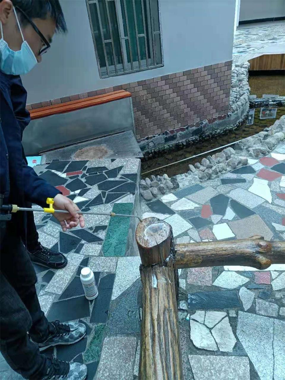 爱国卫生月，让我们一起行动吧！|台州博爱医院医共体