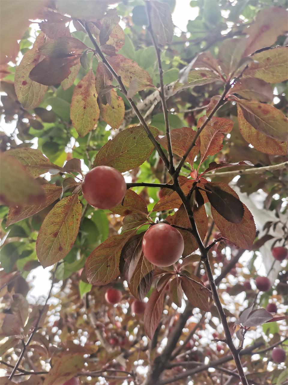情浓敬老院，别样父亲节！|台州博爱医院医共体|敬老院义诊