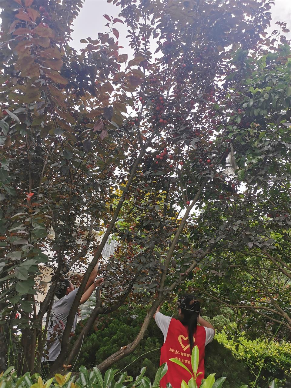 情浓敬老院，别样父亲节！|台州博爱医院医共体|敬老院义诊