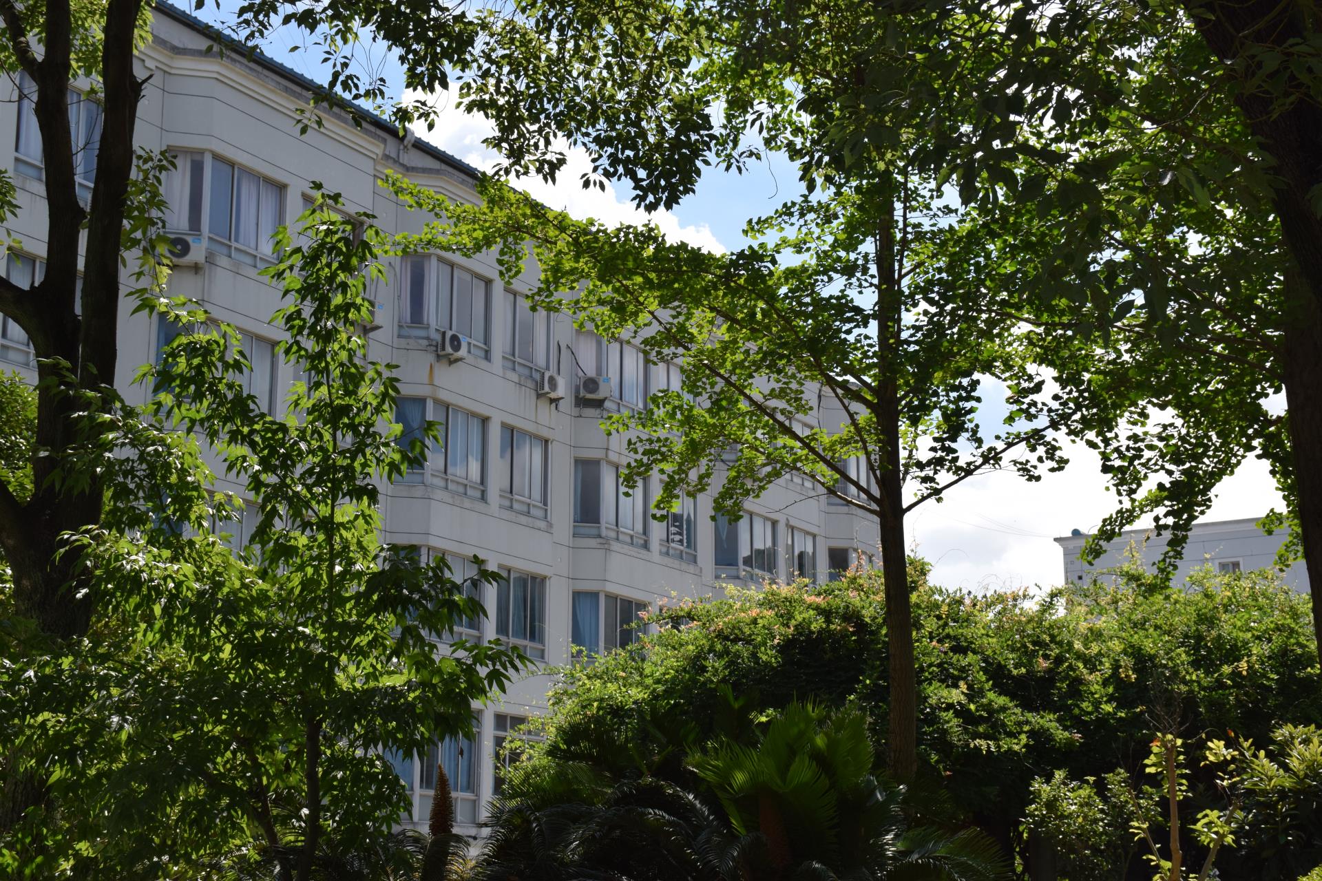 院庆丨从A到Z，表白深爱的你|台州博爱医院医共体|25周年院庆