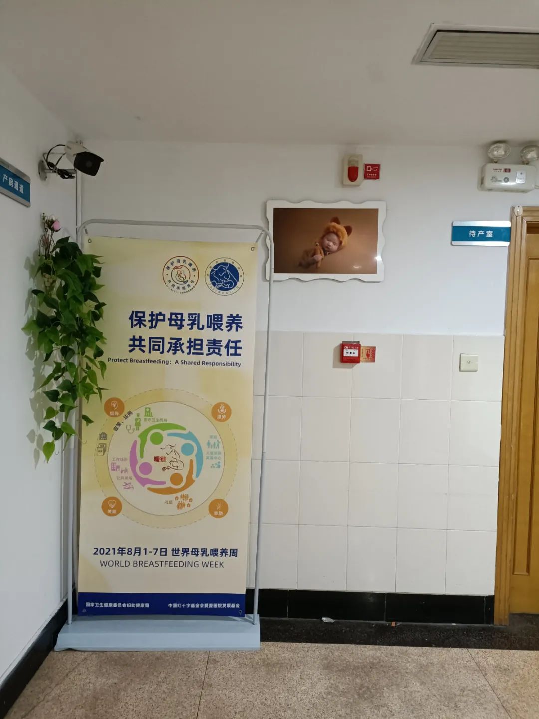 台州博爱医院开展世界母乳喂养周系列健康宣教活动