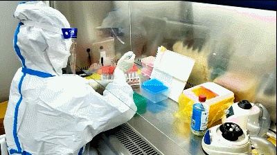 台州博爱医院医共体，核酸检测