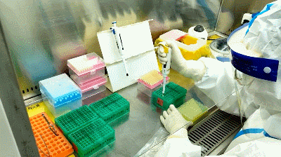 台州博爱医院医共体，核酸检测