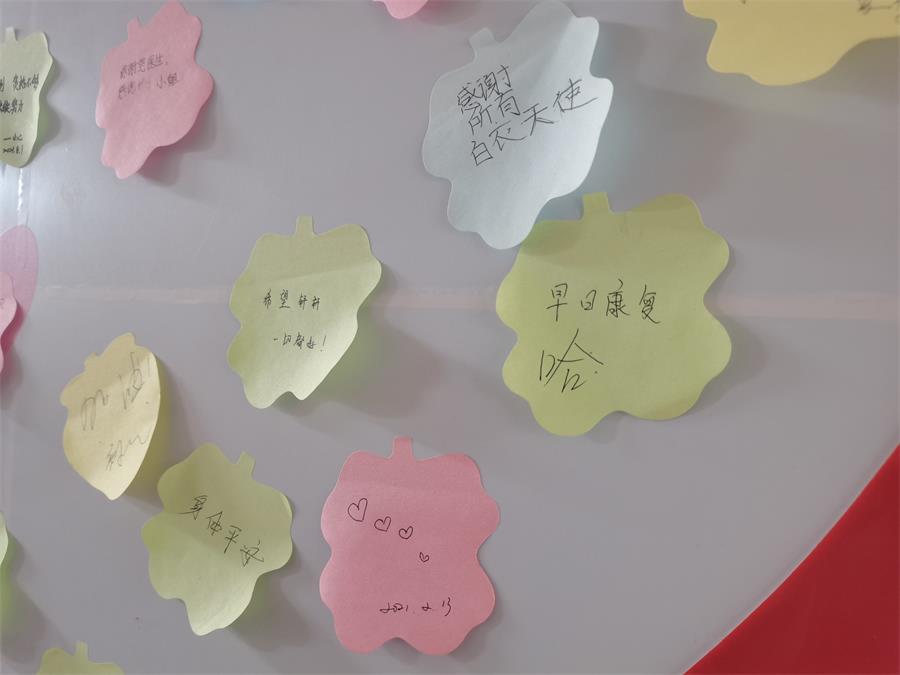 台州博爱医院医共体